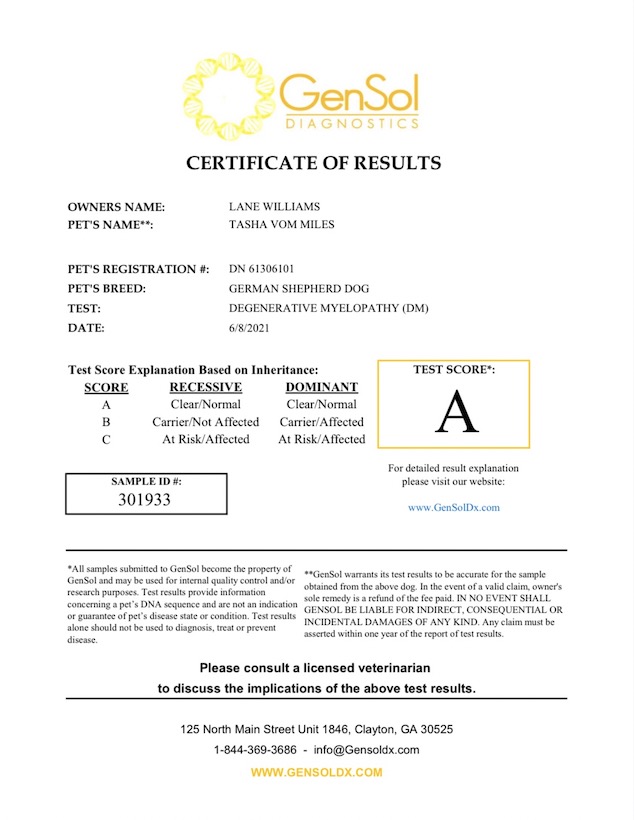 Tasha DM Certificate Tasha DM Certificate