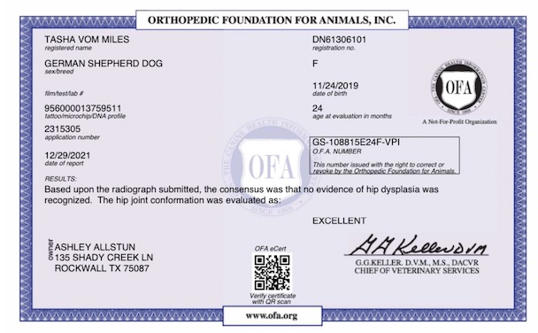 Tasha Hip Certificate Tasha Hip Certificate